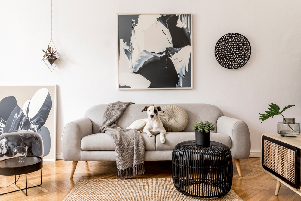 8 Things We Love for Minimalist Apartment Ideas - SecurCare Self